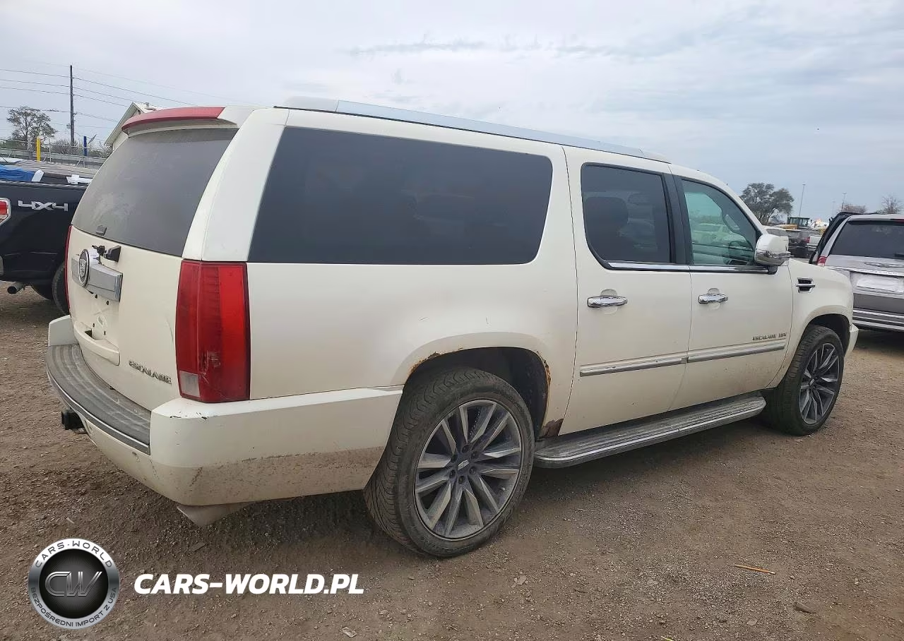 2010 Cadillac Escalade Esv Luxury VIN:1GYUKHEF8AR136875 - 3