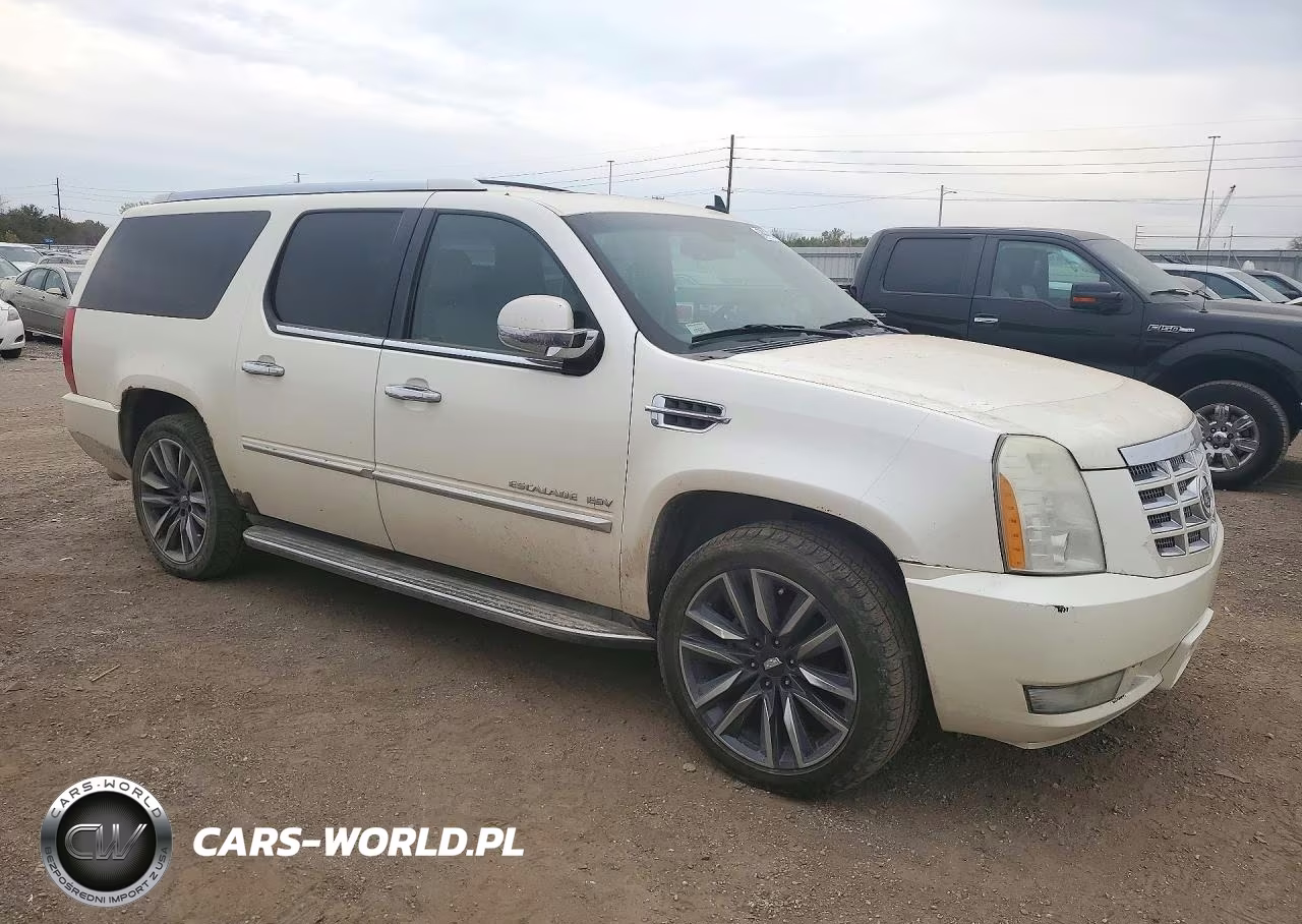 2010 Cadillac Escalade Esv Luxury VIN:1GYUKHEF8AR136875 - 4
