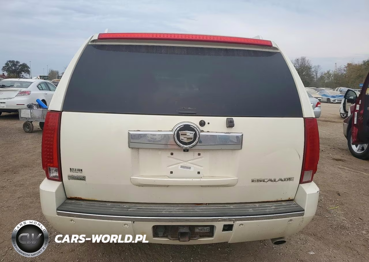 2010 Cadillac Escalade Esv Luxury VIN:1GYUKHEF8AR136875 - 6