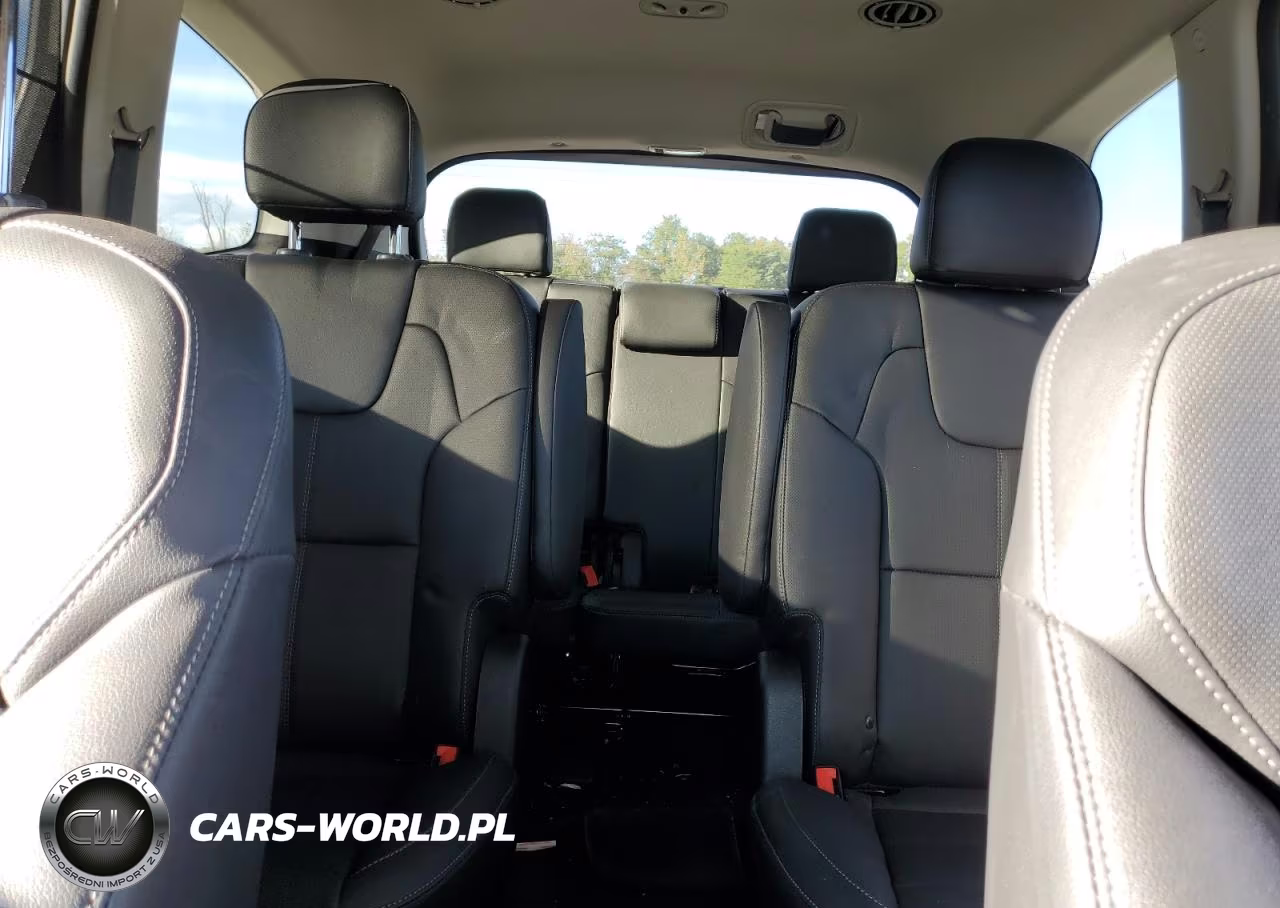 2023 Kia Telluride Ex VIN:5XYP3DGC3PG369680 - 10