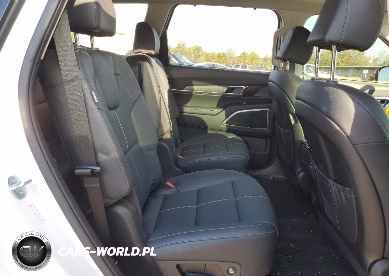2023 Kia Telluride Ex VIN:5XYP3DGC3PG369680 - 11