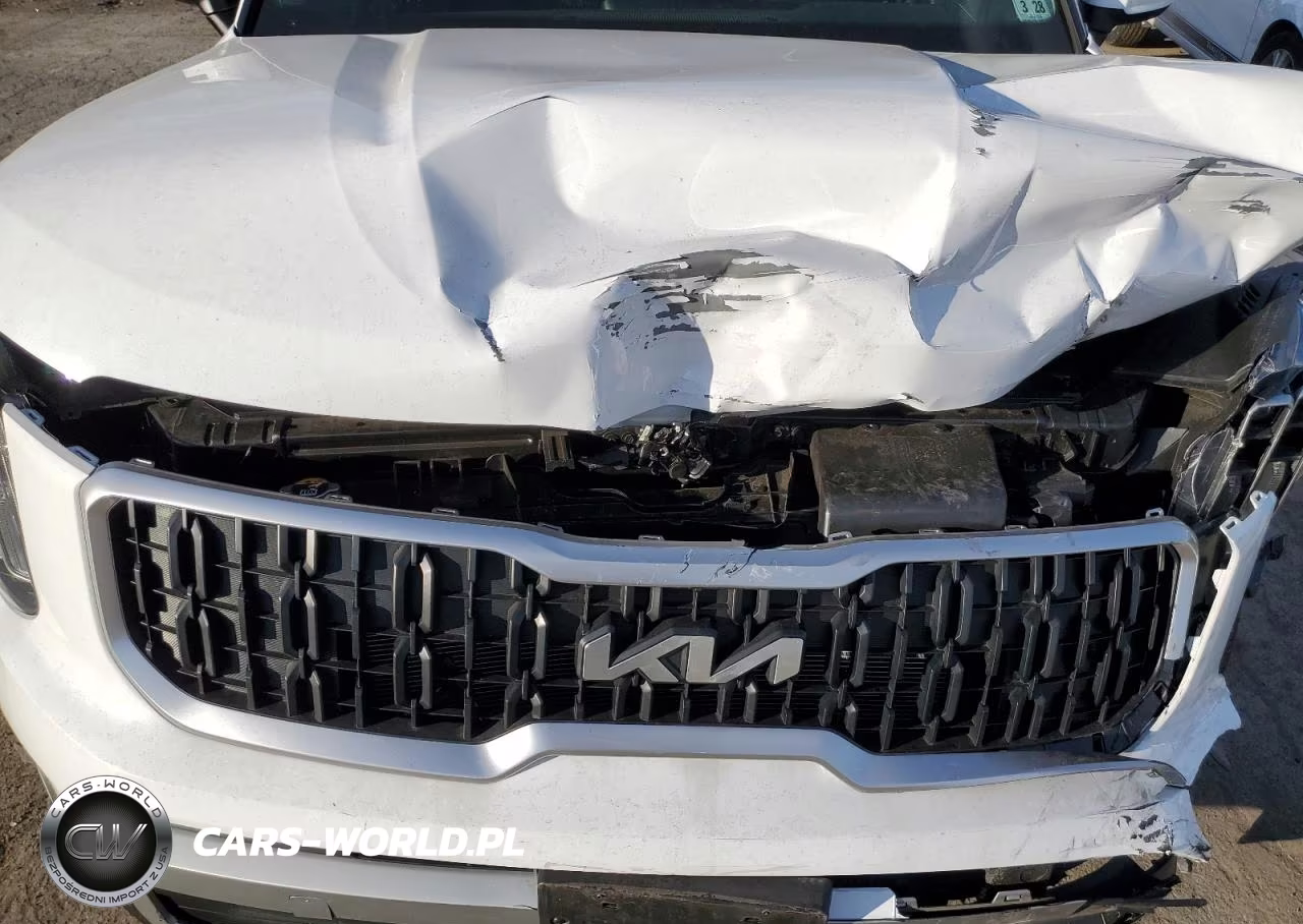 2023 Kia Telluride Ex VIN:5XYP3DGC3PG369680 - 12
