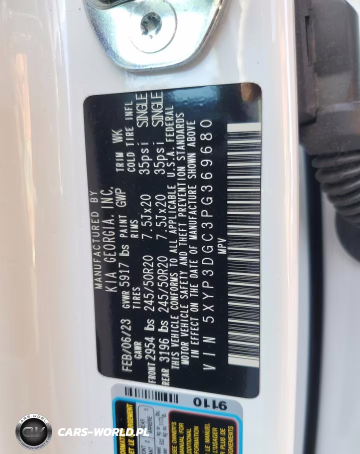 2023 Kia Telluride Ex VIN:5XYP3DGC3PG369680 - 13
