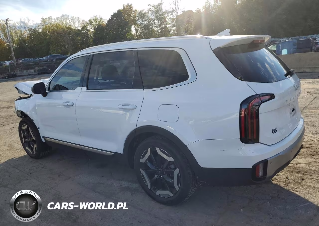 2023 Kia Telluride Ex VIN:5XYP3DGC3PG369680 - 2