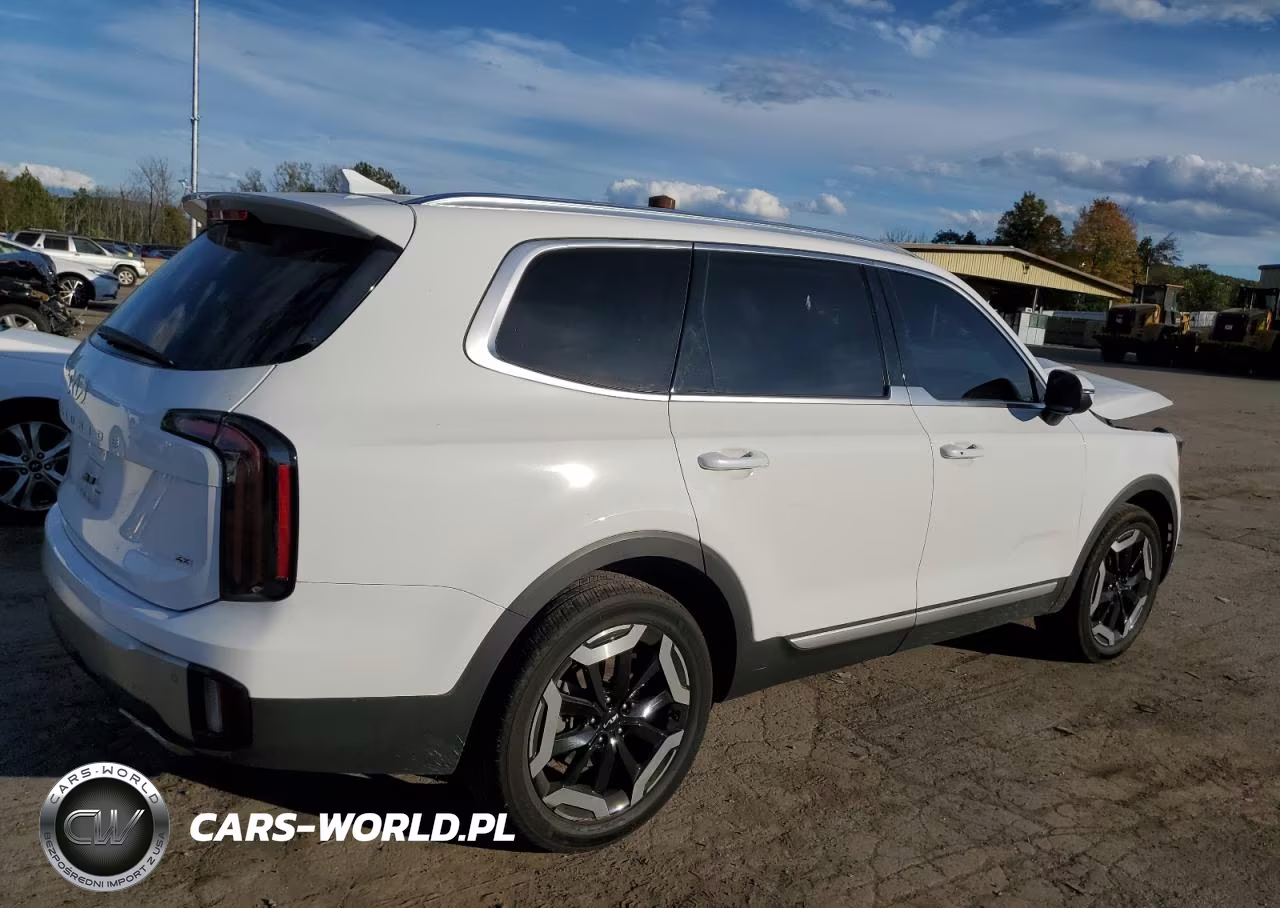 2023 Kia Telluride Ex VIN:5XYP3DGC3PG369680 - 3