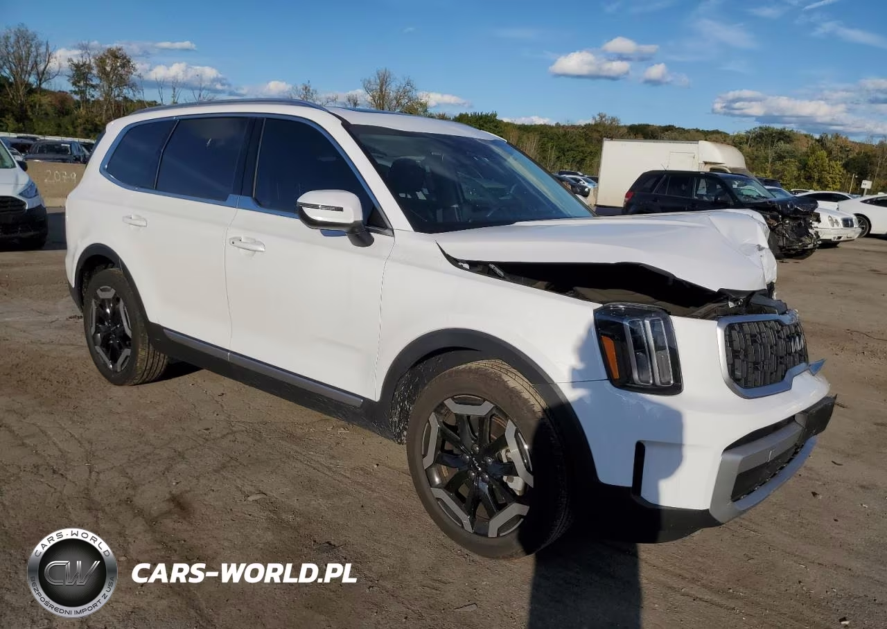 2023 Kia Telluride Ex VIN:5XYP3DGC3PG369680 - 4