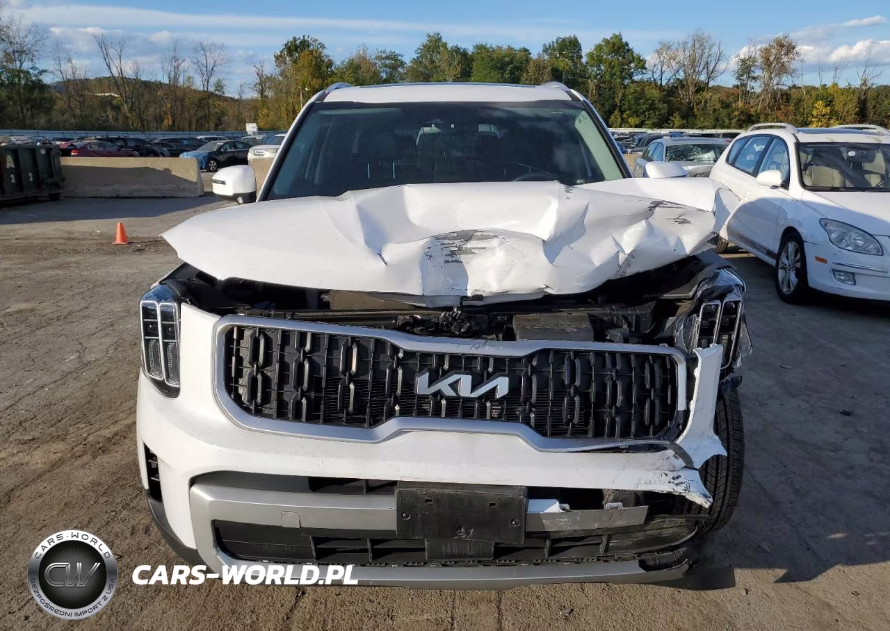 2023 Kia Telluride Ex VIN:5XYP3DGC3PG369680 - 5