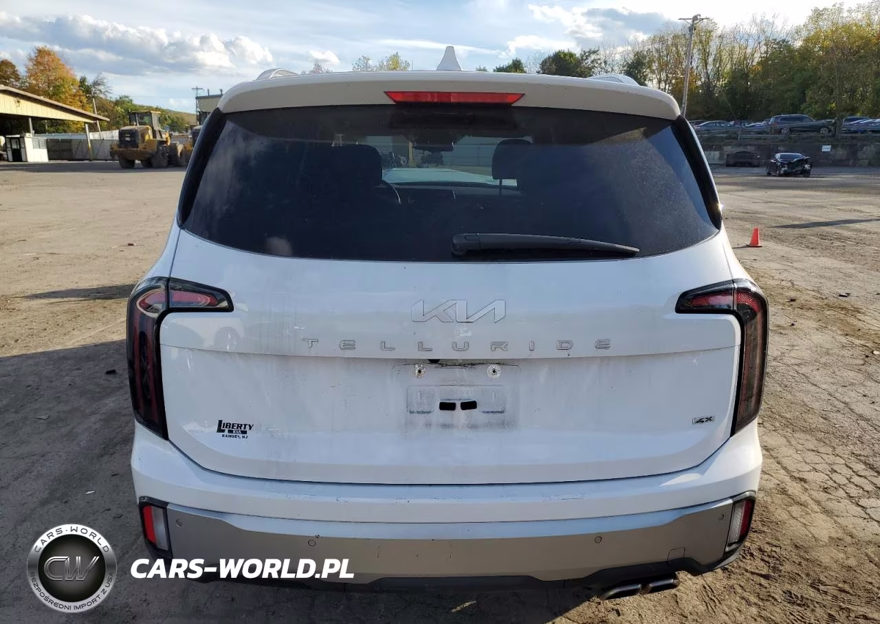 2023 Kia Telluride Ex VIN:5XYP3DGC3PG369680 - 6