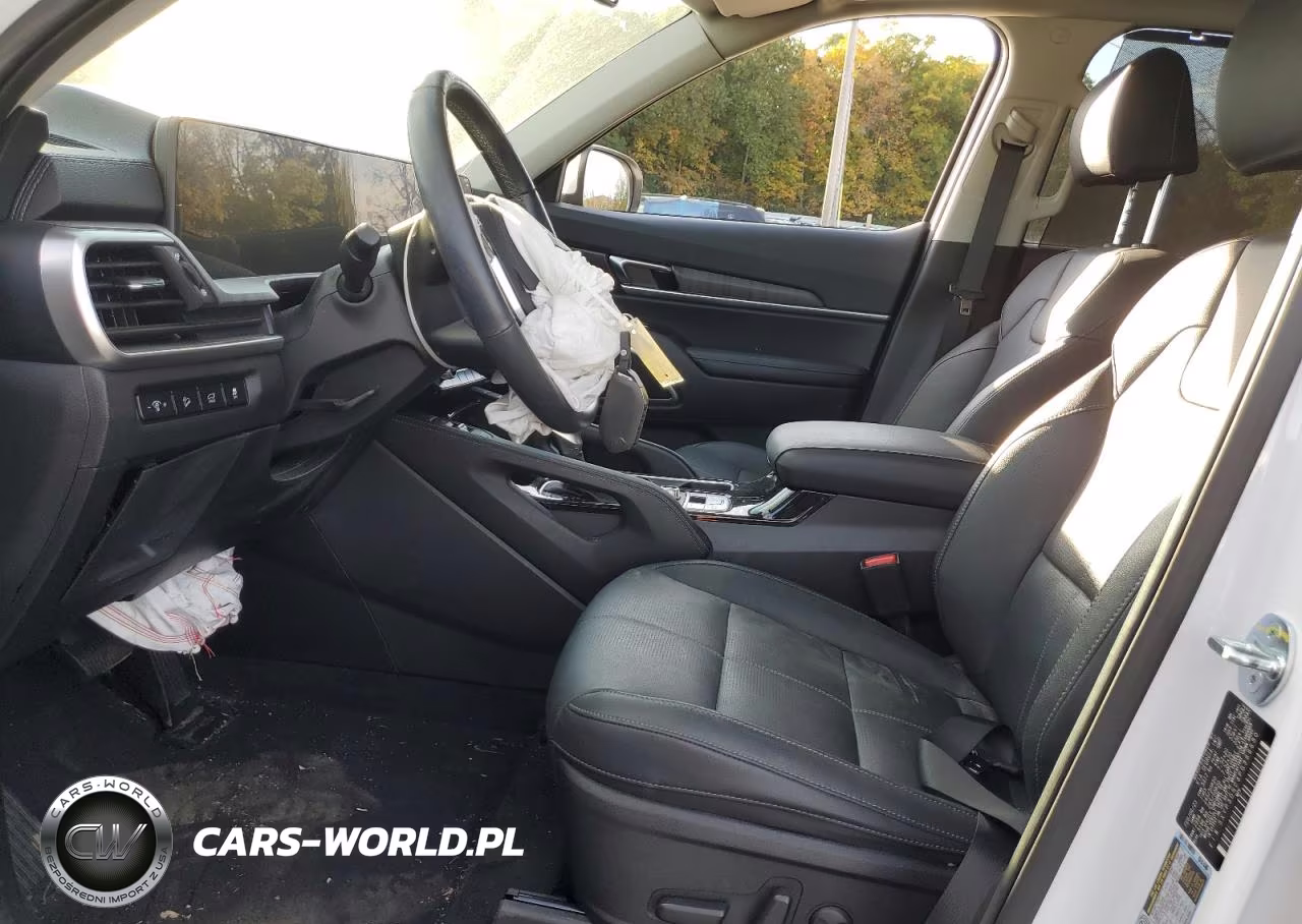 2023 Kia Telluride Ex VIN:5XYP3DGC3PG369680 - 7