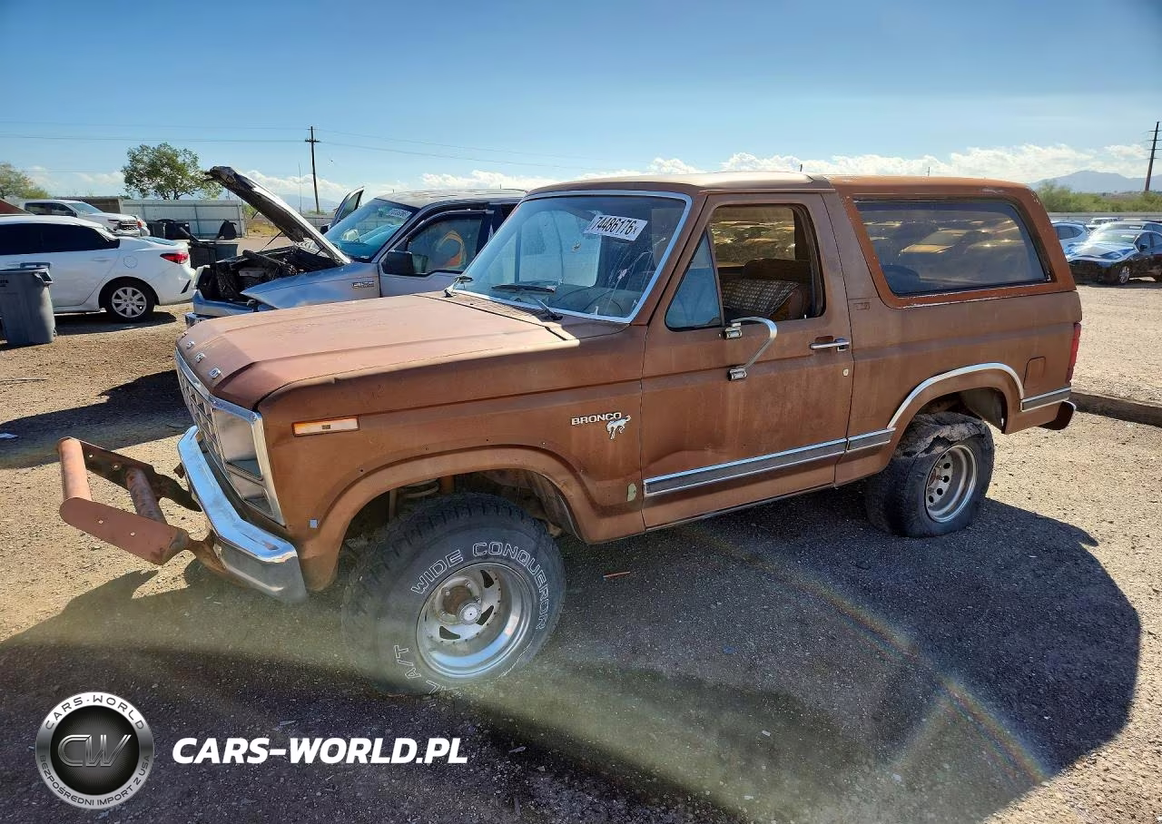 1981 Ford Bronco VIN:1FMDU15G8BLA63099 - 1