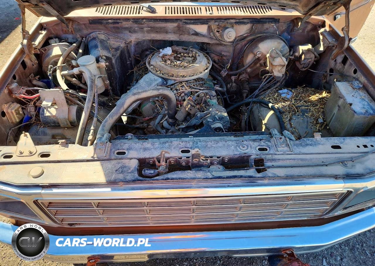 1981 Ford Bronco VIN:1FMDU15G8BLA63099 - 11