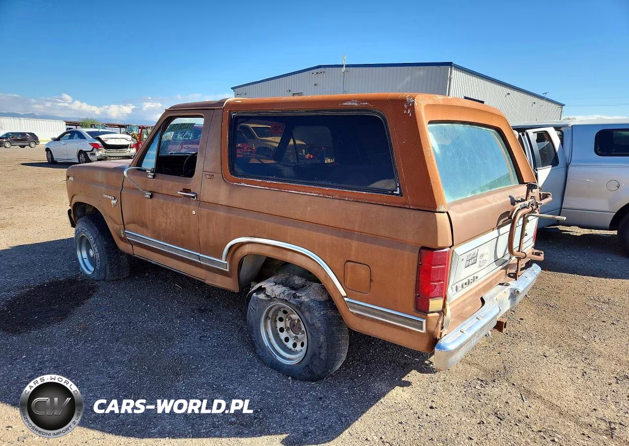 1981 Ford Bronco VIN:1FMDU15G8BLA63099 - 2