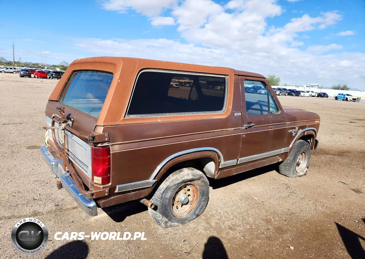 1981 Ford Bronco VIN:1FMDU15G8BLA63099 - 3