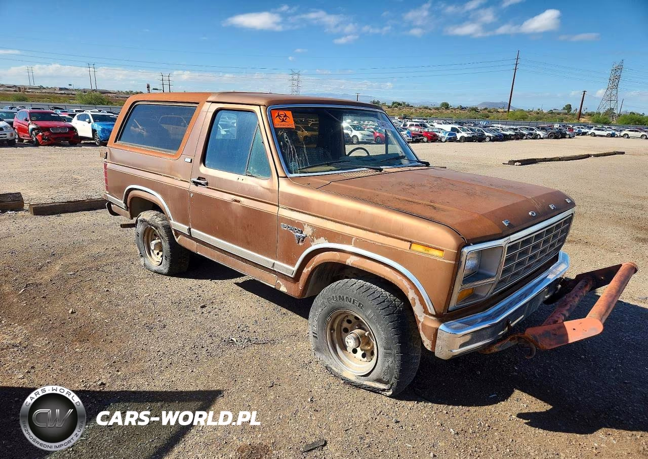 1981 Ford Bronco VIN:1FMDU15G8BLA63099 - 4