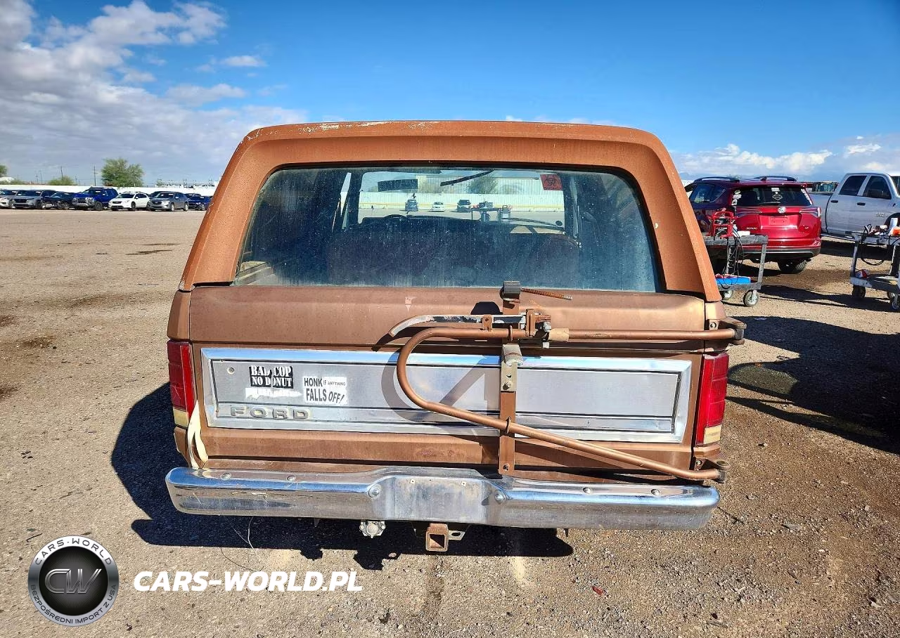 1981 Ford Bronco VIN:1FMDU15G8BLA63099 - 6