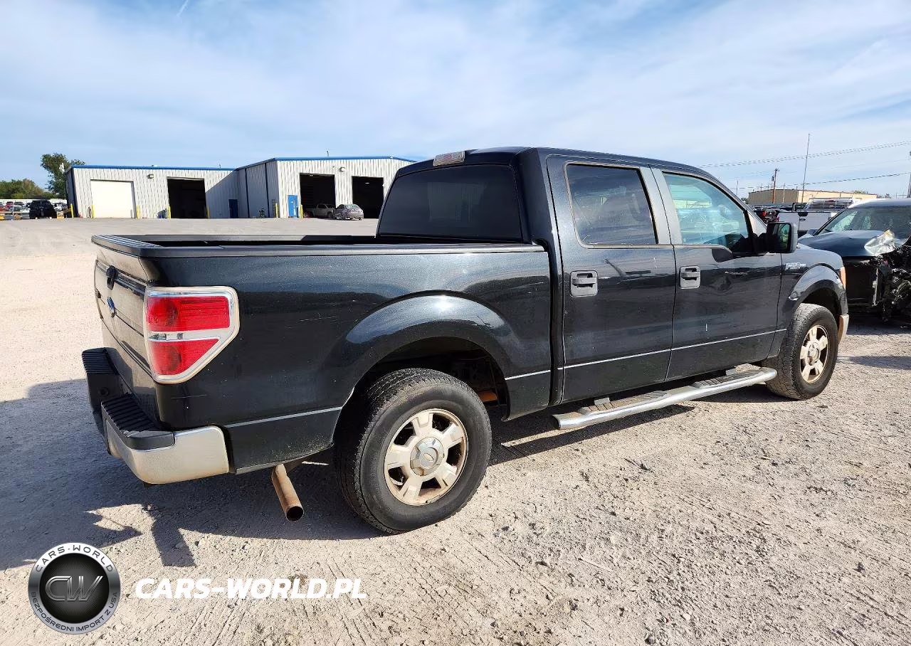 2010 Ford F150 Supercrew VIN:1FTEW1C85AFA48197 - 3