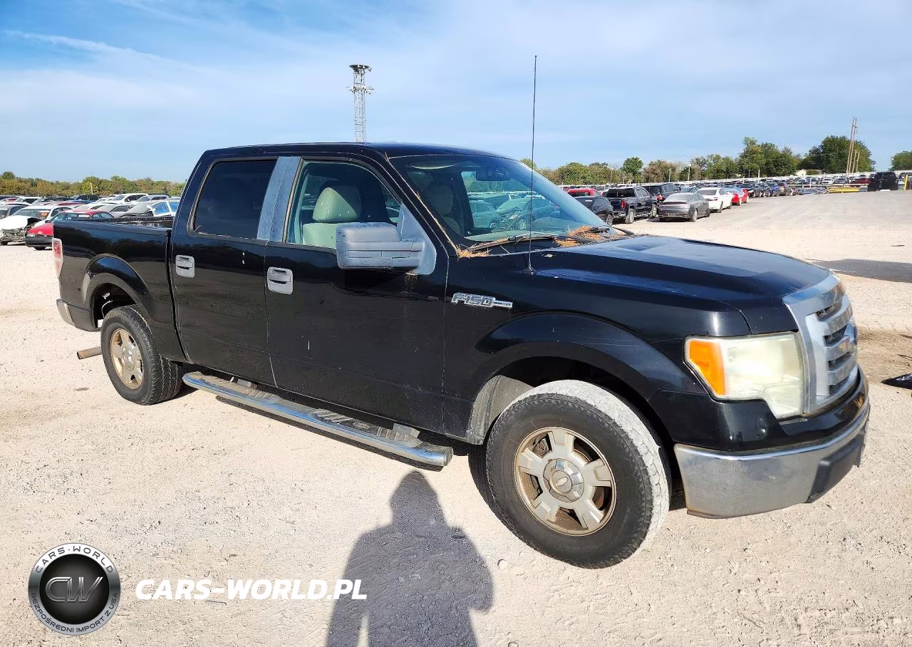2010 Ford F150 Supercrew VIN:1FTEW1C85AFA48197 - 4