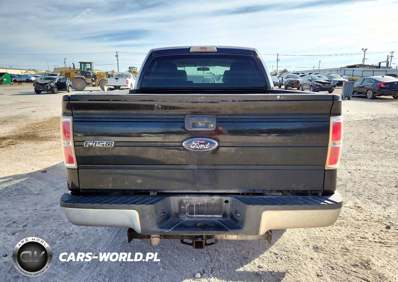 2010 Ford F150 Supercrew VIN:1FTEW1C85AFA48197 - 6