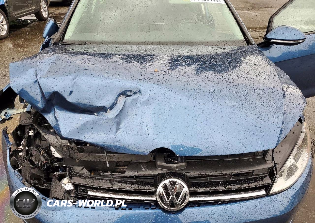 2015 Volkswagen Golf VIN:3VW817AU2FM099613 - 12