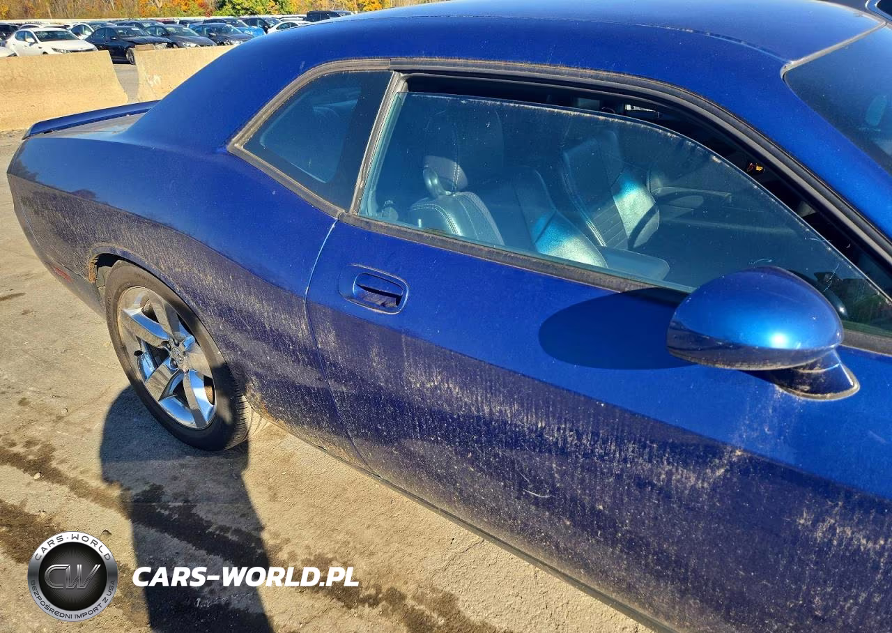 2010 Dodge Challenger R-T VIN:2B3CJ5DT4AH109202 - 10