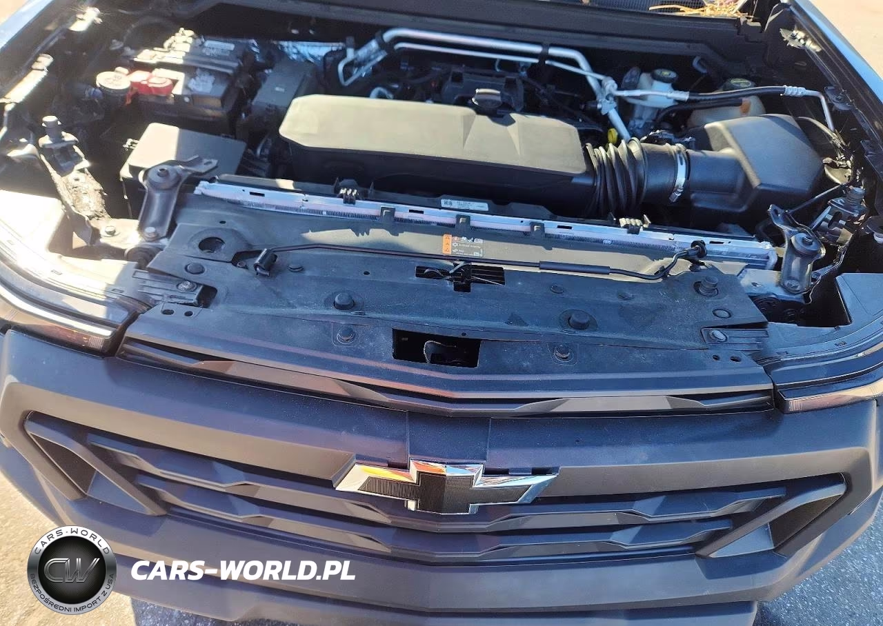 CHEVROLET COLORADO VIN:1GCPSBEK9R1173103 - 11