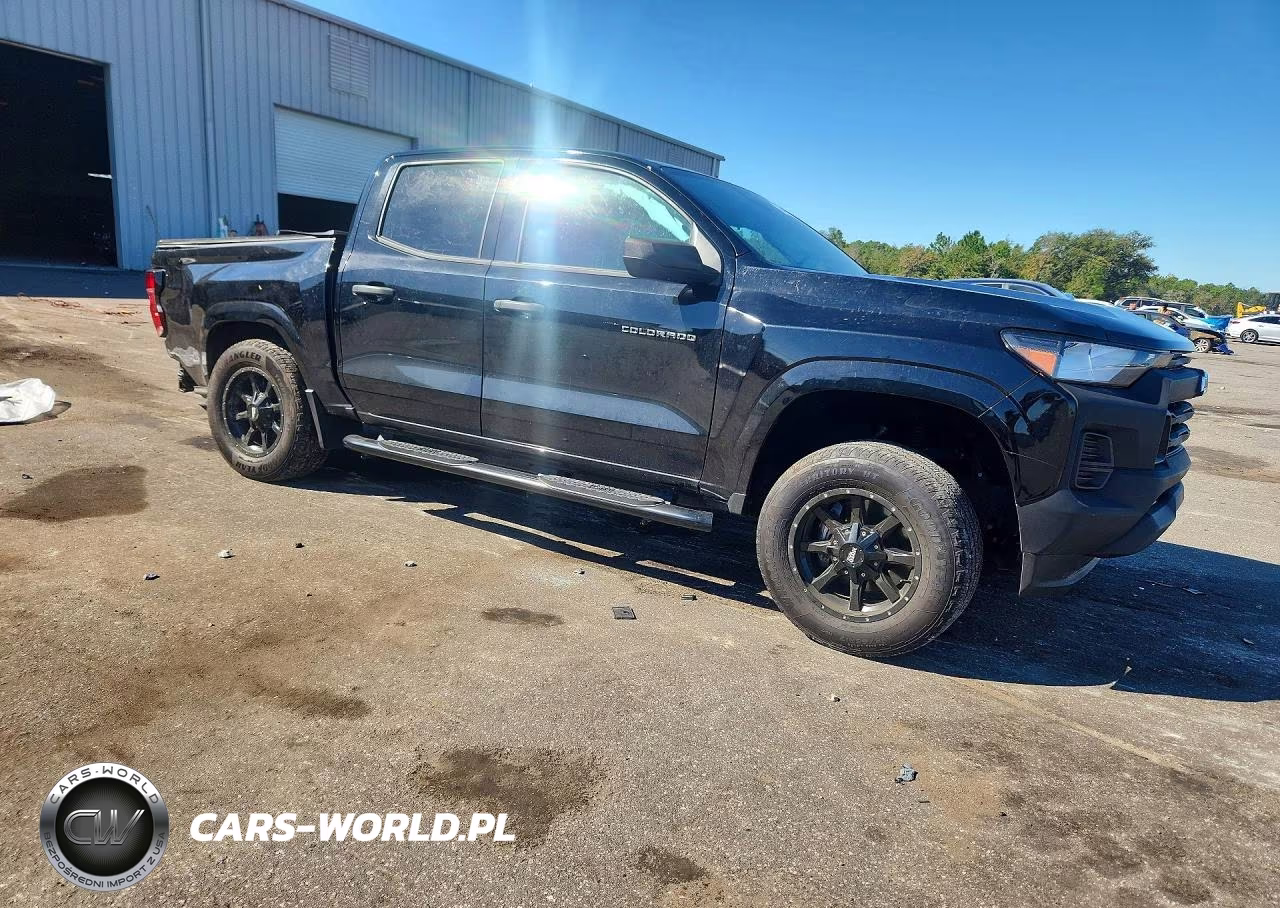 CHEVROLET COLORADO VIN:1GCPSBEK9R1173103 - 4