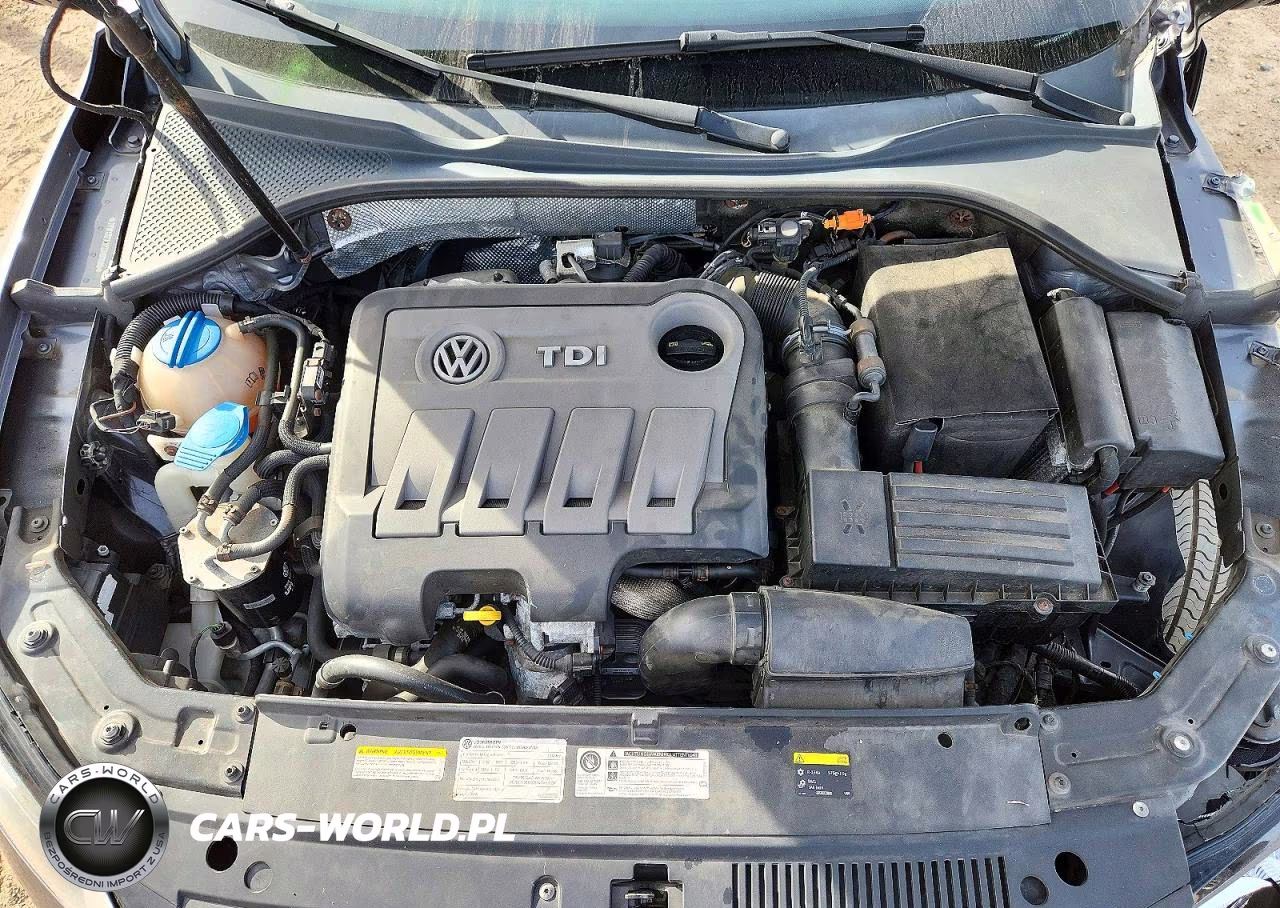 2014 Volkswagen Passat Sel VIN:1VWCN7A37EC098690 - 11