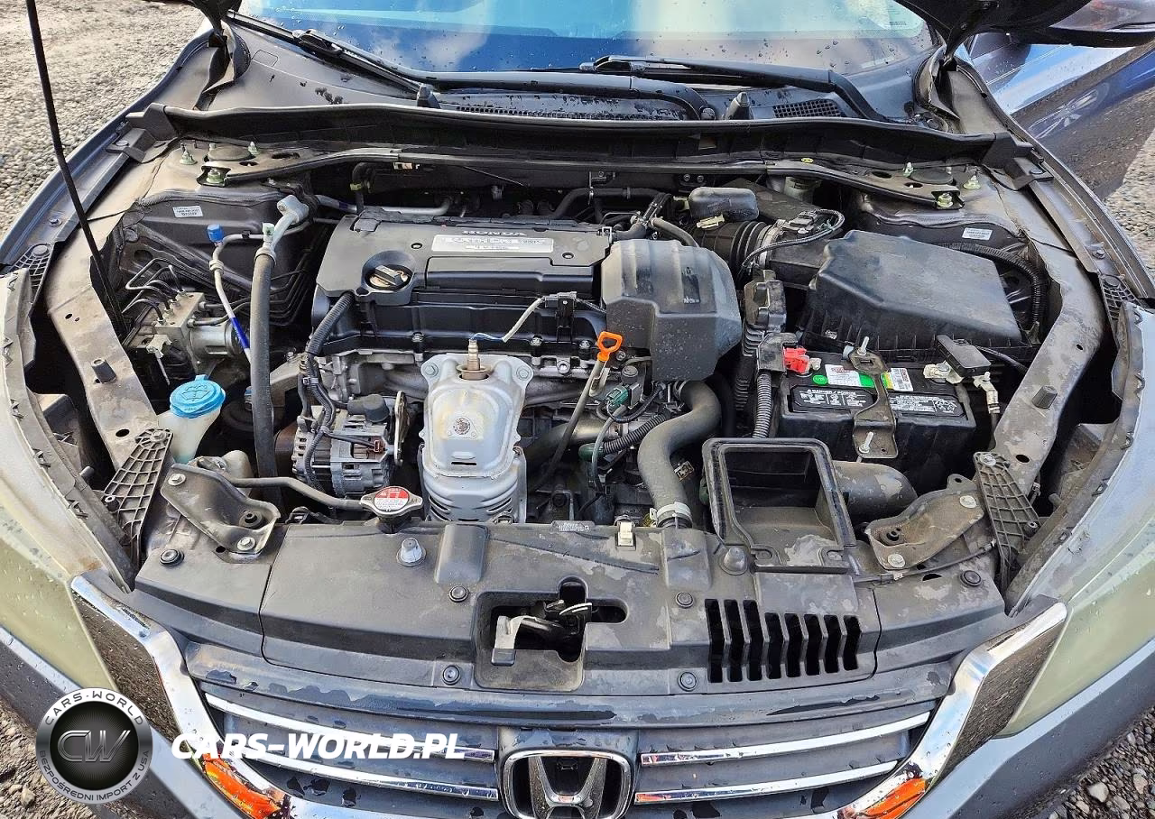 2013 Honda Accord Exl VIN:1HGCR2F87DA147171 - 11