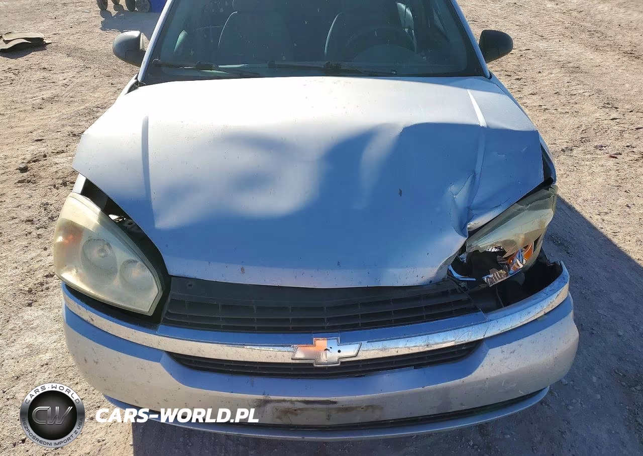 2004 Chevrolet Malibu Ls VIN:1G1ZT52874F130321 - 11