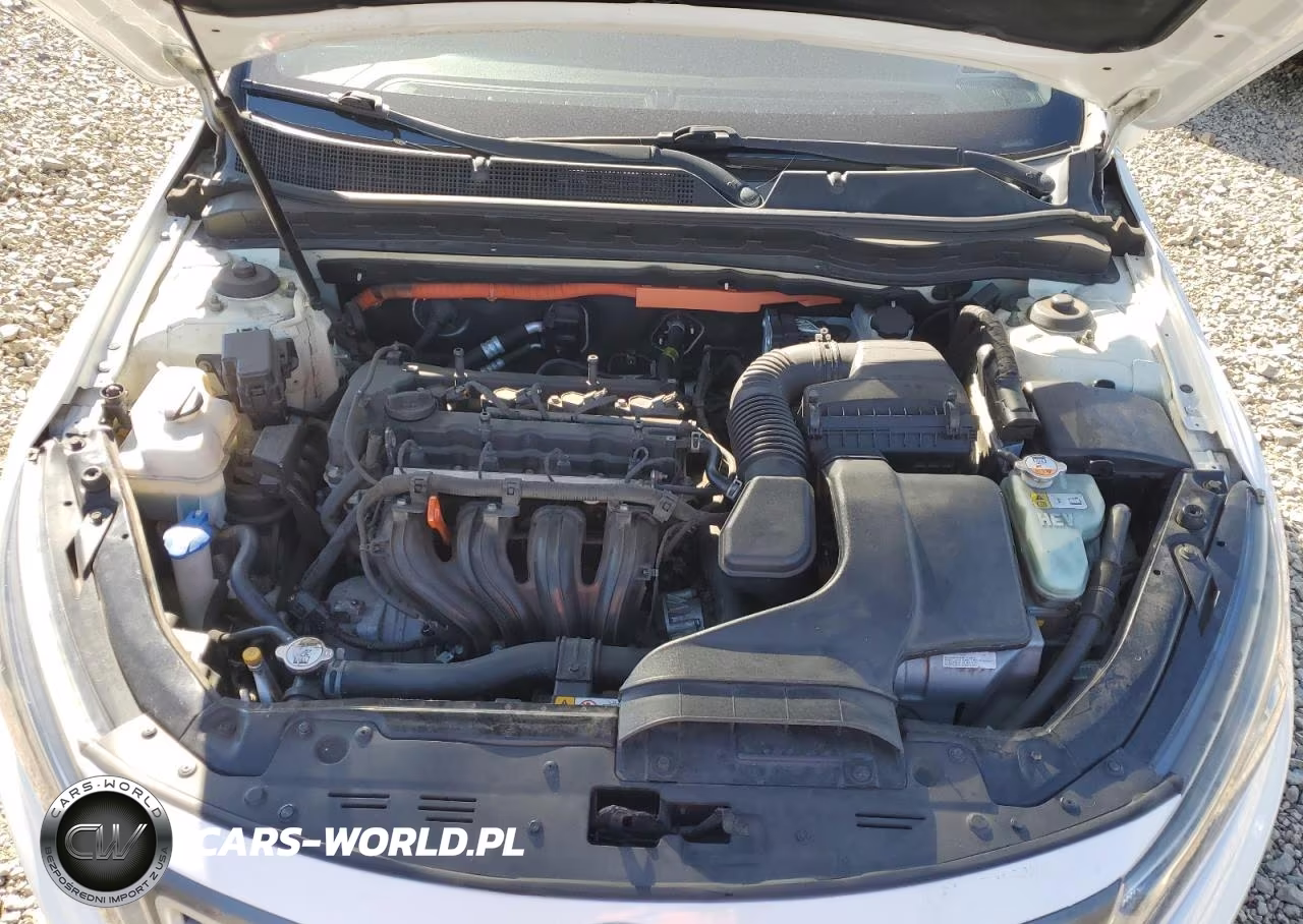 2016 Kia Optima Hybrid VIN:KNAGM4AD8G5096823 - 11