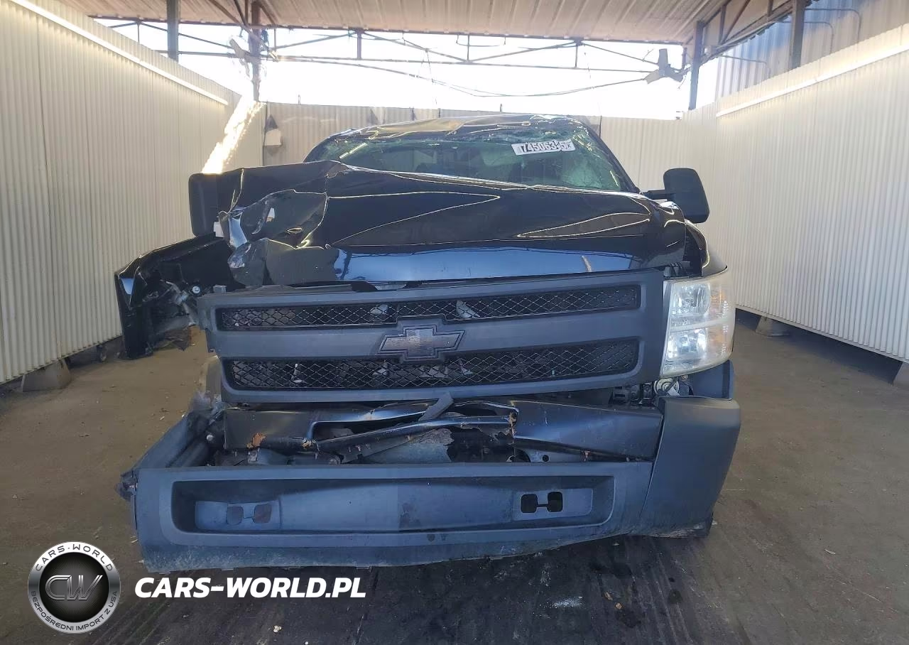 2013 Chevrolet Silverado C1500 VIN:1GCRCPEX7DZ408204 - 5
