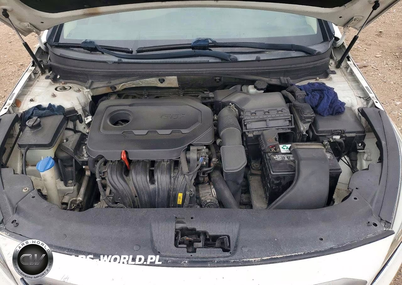 2016 Hyundai Sonata VIN:5NPE24AF5GH413622 - 11