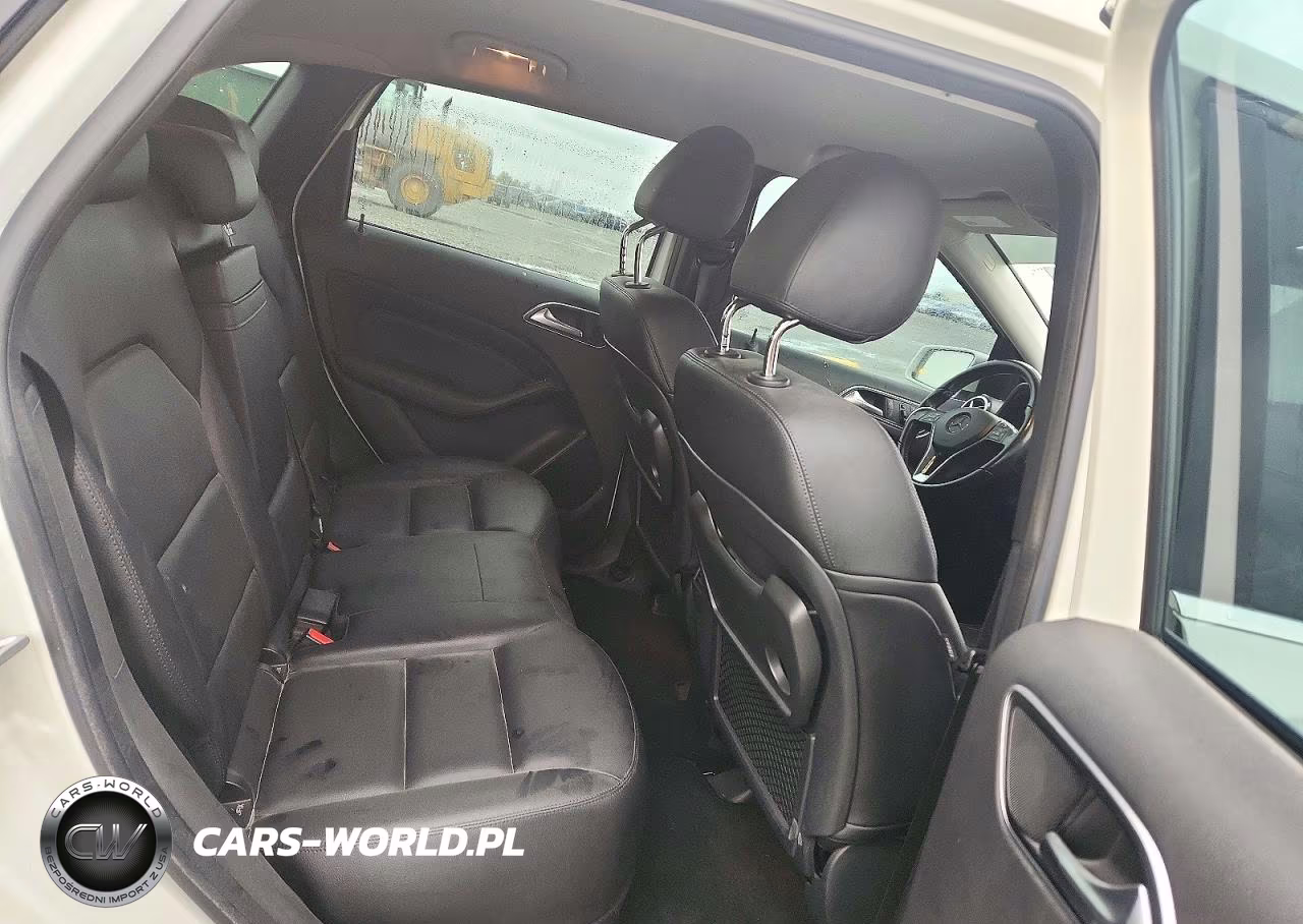 2014 Mercedes-Benz B Electric VIN:WDDVP9ABXEJ003226 - 10