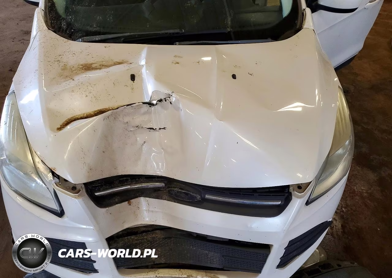 2013 Ford Escape Se VIN:1FMCU0G92DUD26186 - 12
