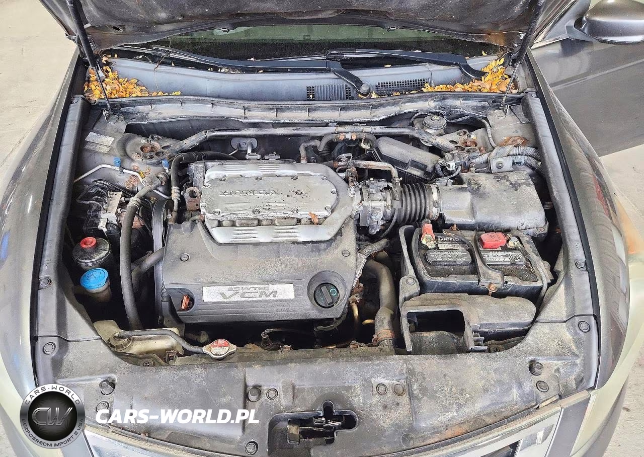 2010 Honda Accord Exl VIN:1HGCP3F83AA000420 - 11