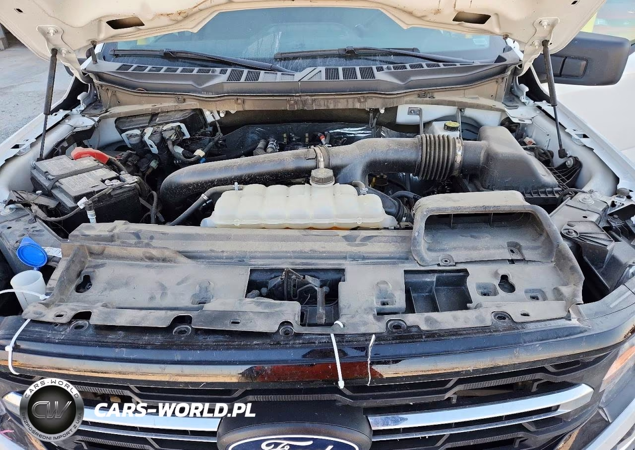 2025 Ford F150 Xlt VIN:1FTEW3K80SKE77432 - 11
