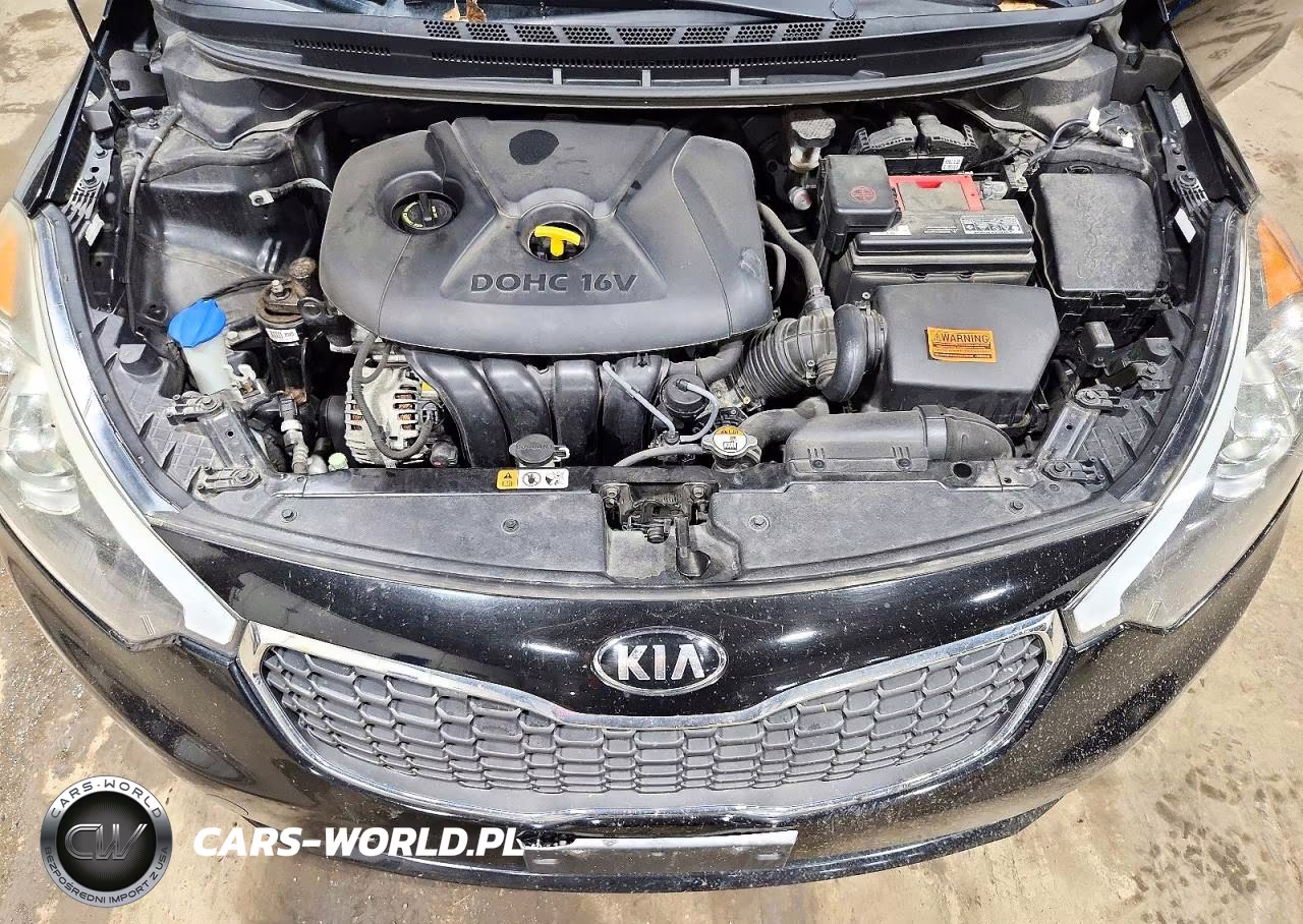 2015 Kia Forte Lx VIN:KNAFK4A60F5436077 - 11