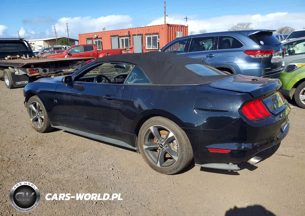 2023 Ford Mustang VIN:1FATP8UH3P5101673 - 2