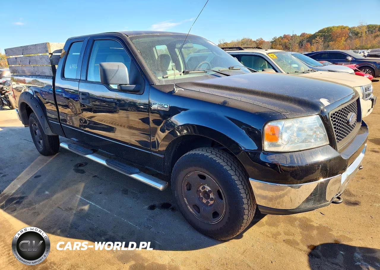 2004 Ford F150 VIN:1FTRX14W04FA28861 - 4