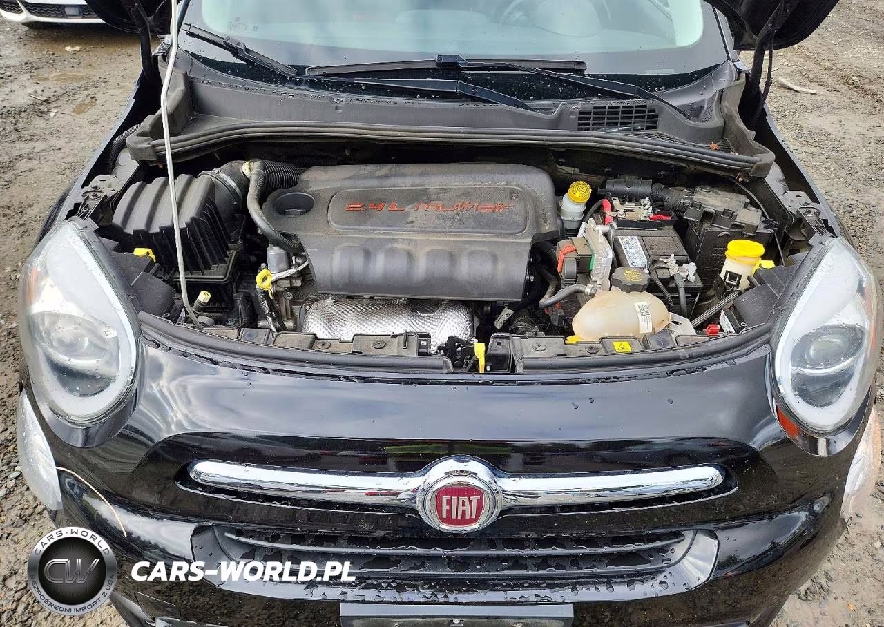 2016 Fiat 500X Lounge VIN:ZFBCFYDT0GP338089 - 12