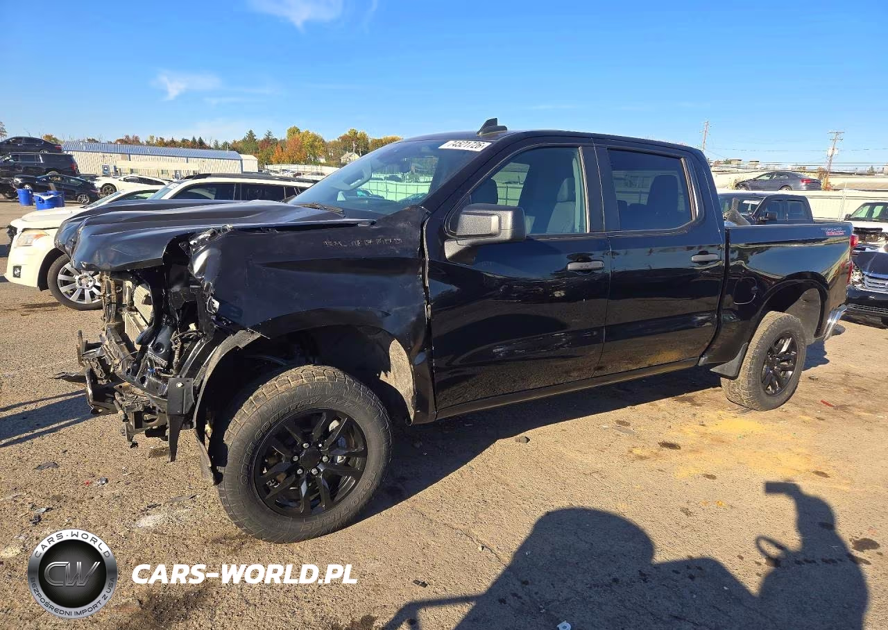 2024 CHEVROLET SILVERADO K1500 TRAIL BOSS CUSTOM VIN:3GCUDCE86RG359836 - 1