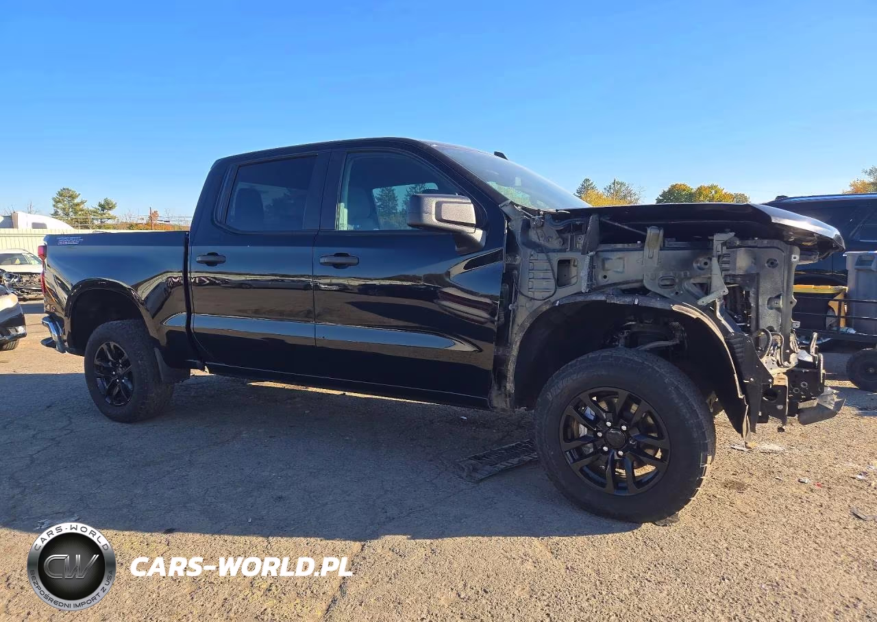 2024 CHEVROLET SILVERADO K1500 TRAIL BOSS CUSTOM VIN:3GCUDCE86RG359836 - 4