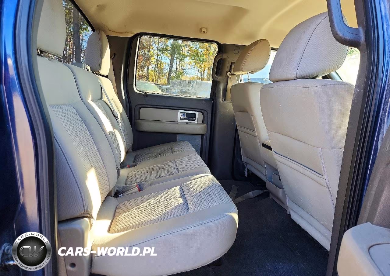 2010 Ford F150 Supercrew VIN:1FTEW1E81AFD37560 - 10
