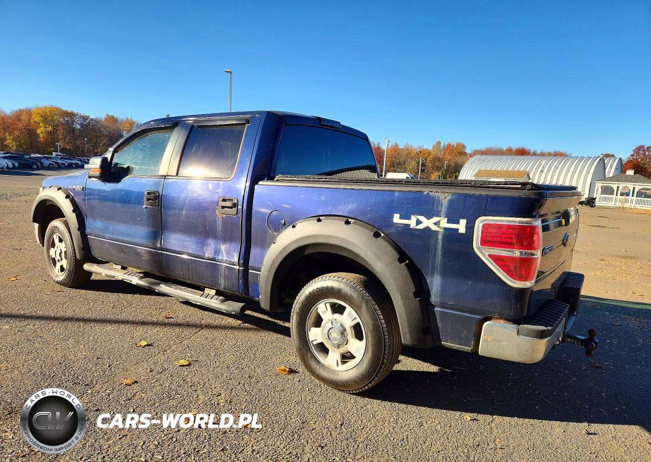 2010 Ford F150 Supercrew VIN:1FTEW1E81AFD37560 - 2
