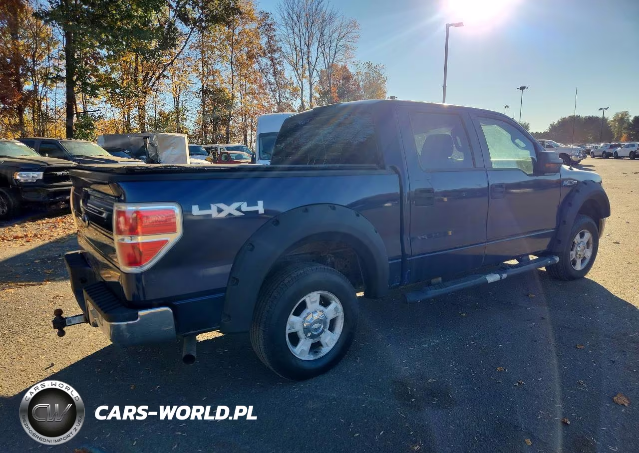 2010 Ford F150 Supercrew VIN:1FTEW1E81AFD37560 - 3