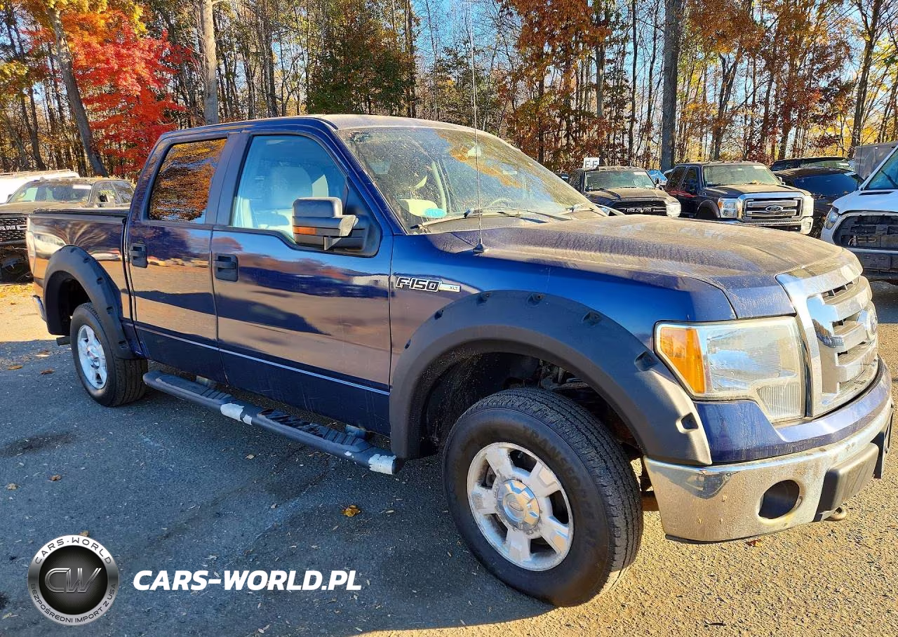 2010 Ford F150 Supercrew VIN:1FTEW1E81AFD37560 - 4