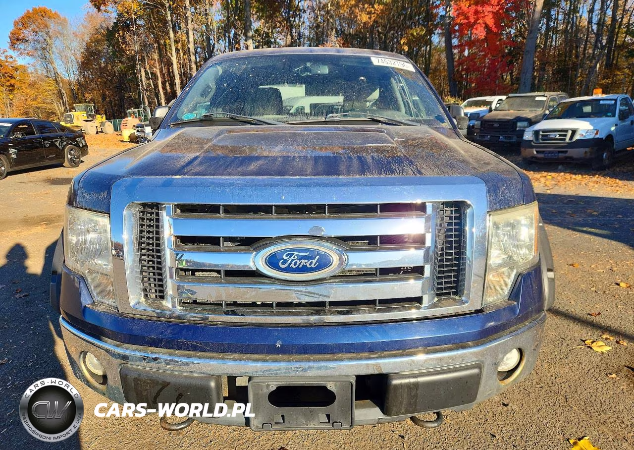 2010 Ford F150 Supercrew VIN:1FTEW1E81AFD37560 - 5