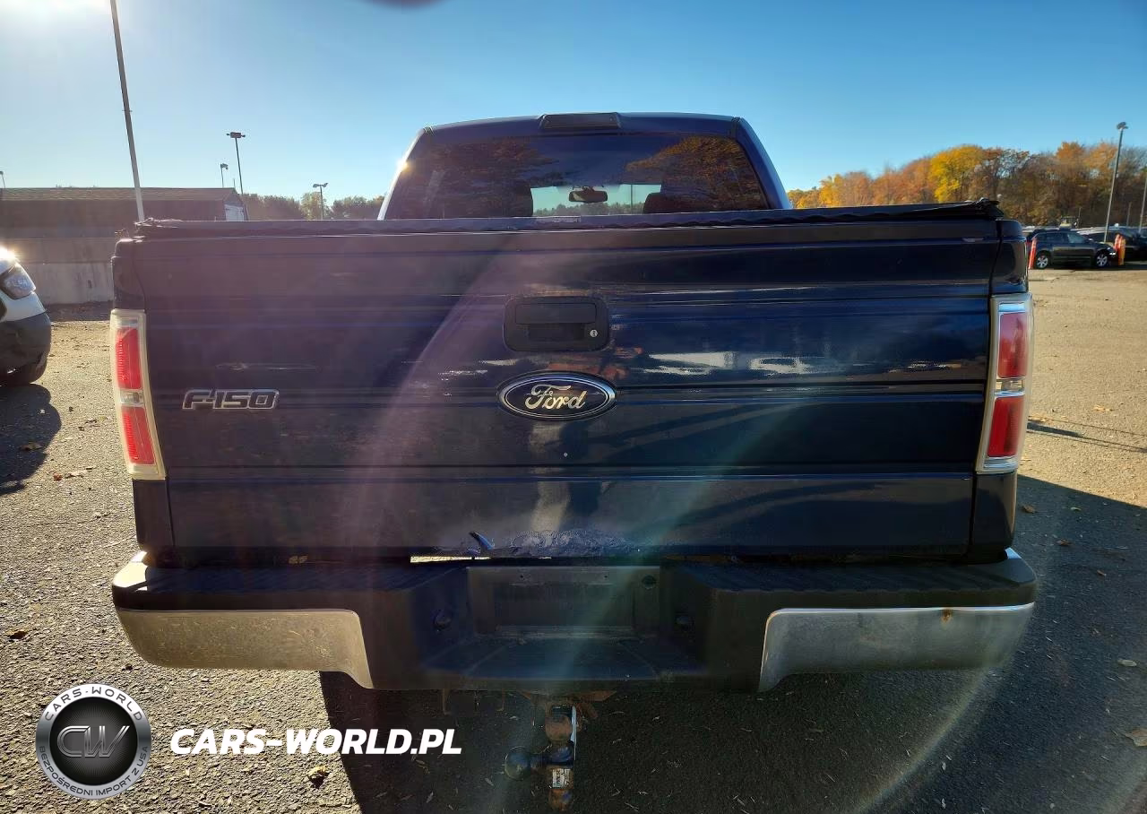2010 Ford F150 Supercrew VIN:1FTEW1E81AFD37560 - 6