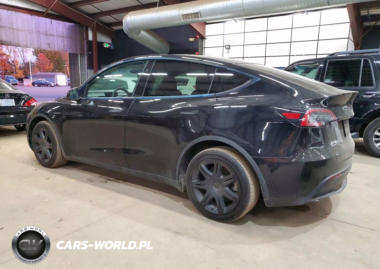 2024 Tesla Model Y VIN:7SAYGDEE2RF131278 - 2