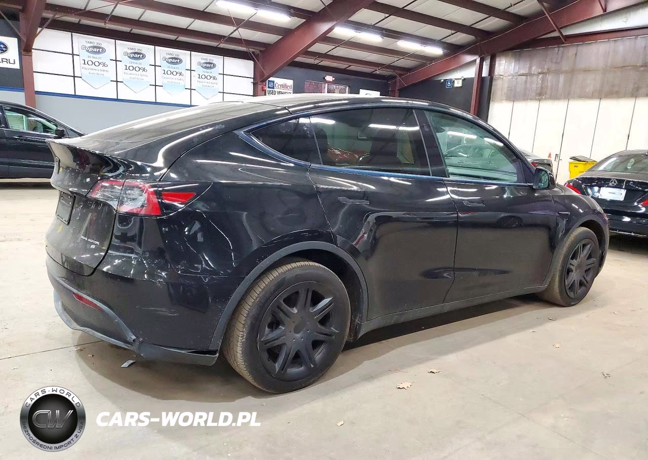 2024 Tesla Model Y VIN:7SAYGDEE2RF131278 - 3